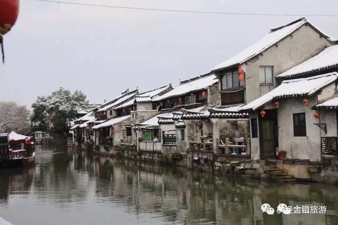 玄凤鹦鹉母鸟为什么把20天幼鸟头上的羽管啄掉？